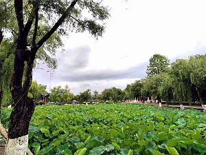 KUNMING - Parc Daguan - 09